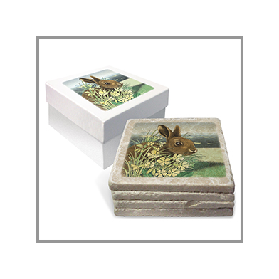 Item # 4bx-white - 4 Coasters in a printed white box